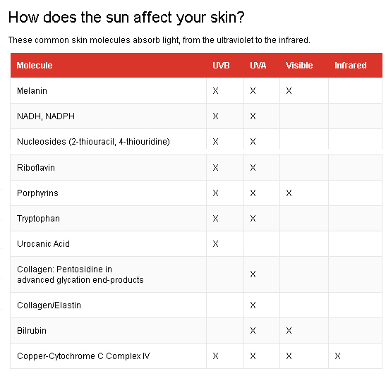 How the Sun affects your Skin