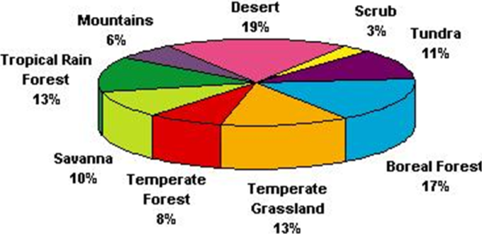 Earth Land Composition