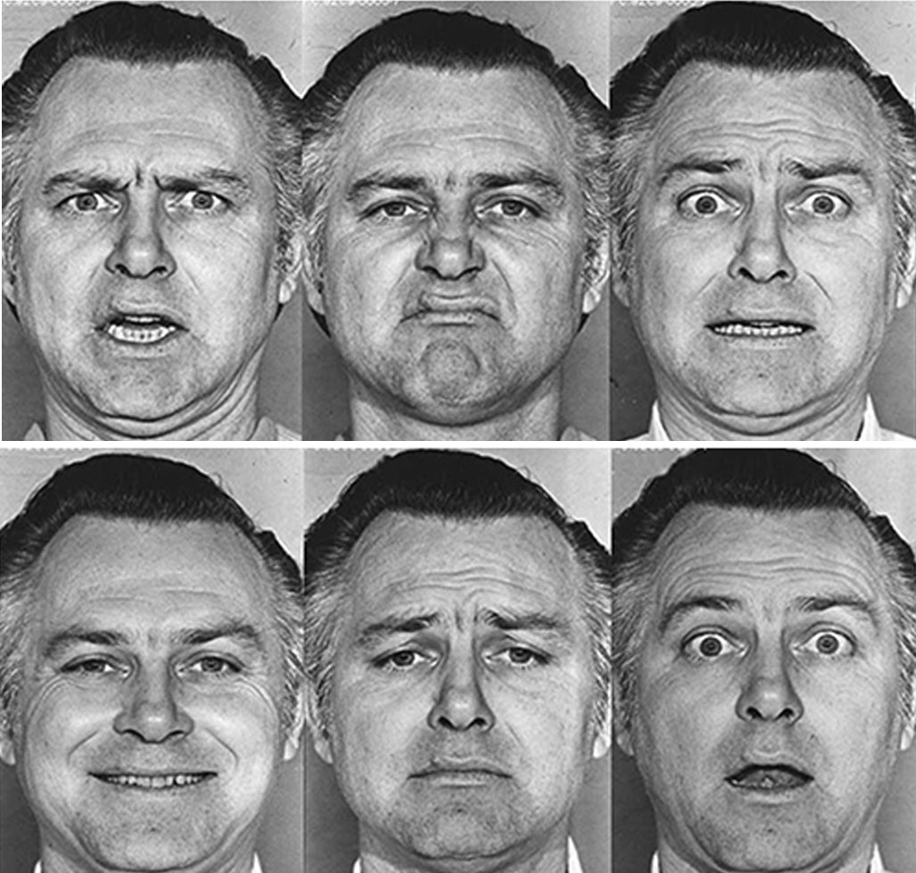 Emotions of the Face