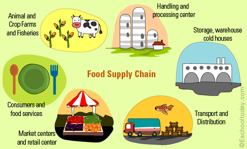 Food Supply Chain