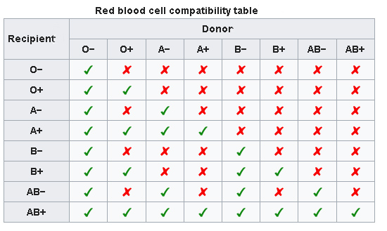 Blood Types Compatibility