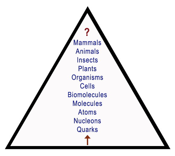 Pyramid of Complexity Triangle